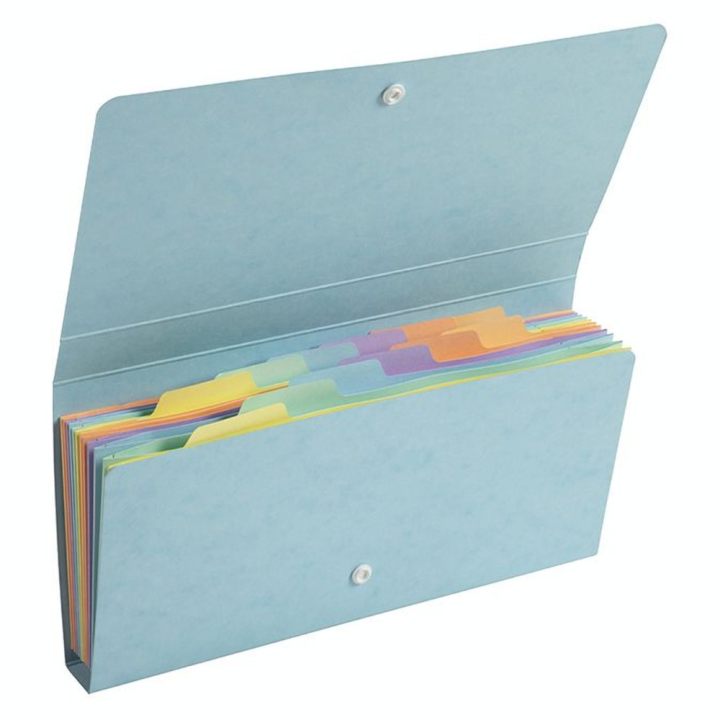 Pochette trieur carte multicolore 6 compartiments Aquarel 26 x 13 cm - Exacompta - Rougier et Plé