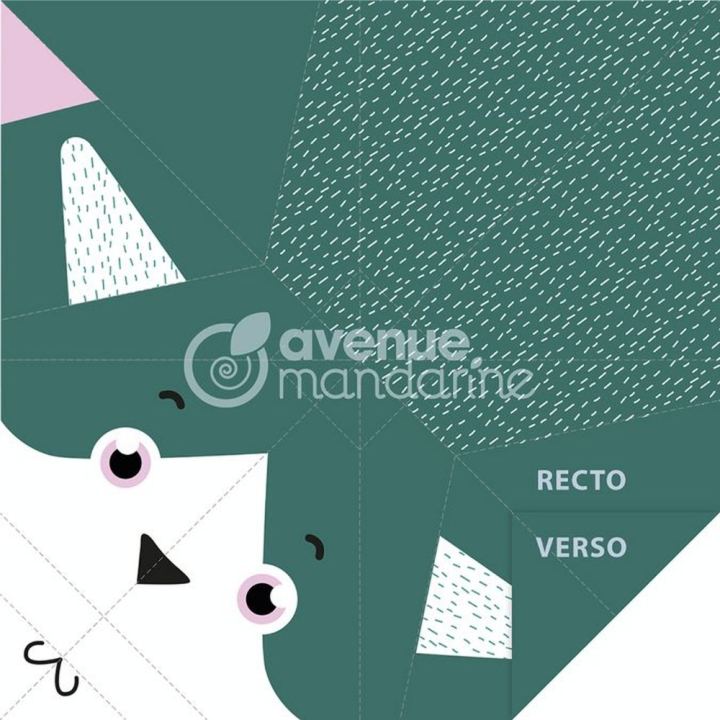 Set My Little Origami Chat 20 feuilles - Avenue Mandarine - Rougier et Plé