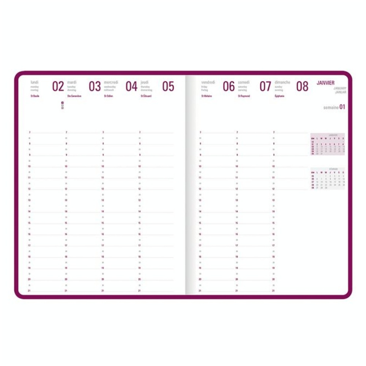 Agenda semainier 2023-2024 17 x 24.5 cm Camelia Orange - Editions Oberthur - Rougier et Plé