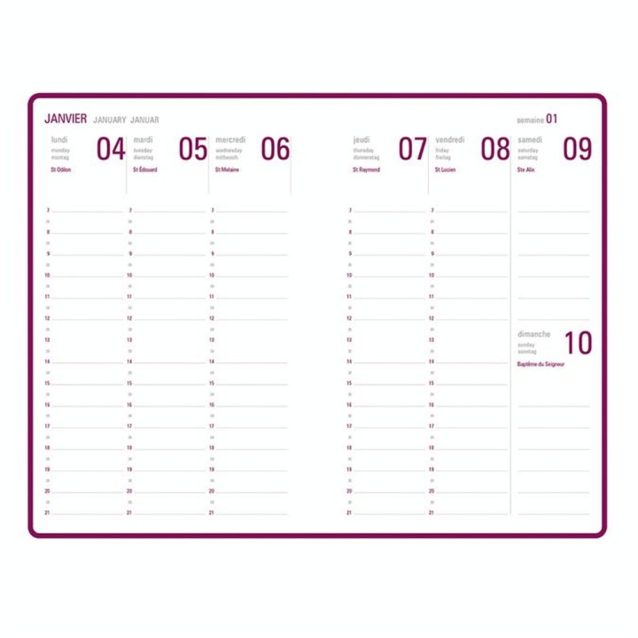 Agenda semainier 2023-2024 10 x 15 cm Camelia Orange - Editions Oberthur - Rougier et Plé