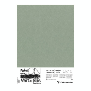 Papier Paint On Vert de gris 50 x 65 cm 250 g/m² 5 feuilles - Clairefontaine - Rougier et Plé