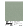 Papier Paint On Vert de gris 50 x 65 cm 250 g/m² 5 feuilles - Clairefontaine - Rougier et Plé
