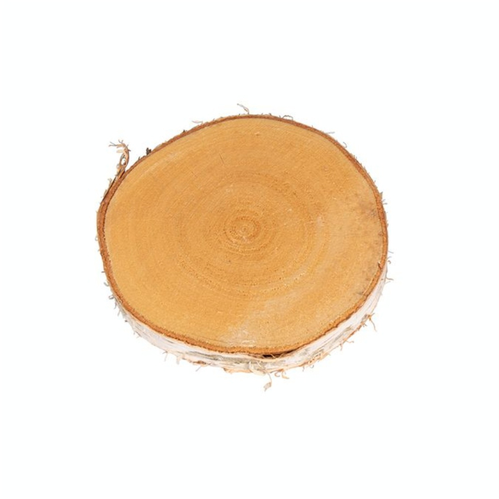 Disque de bouleau Ø 15 à 17 cm - Rayher - Rougier et Plé