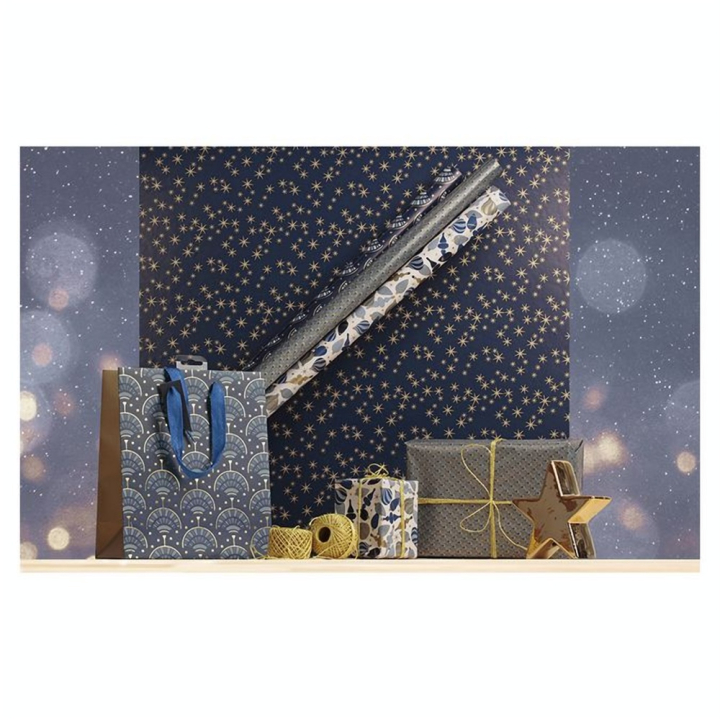 Papier cadeau Nuit étoilée 0,7 x 2 m - Clairefontaine - Rougier et Plé