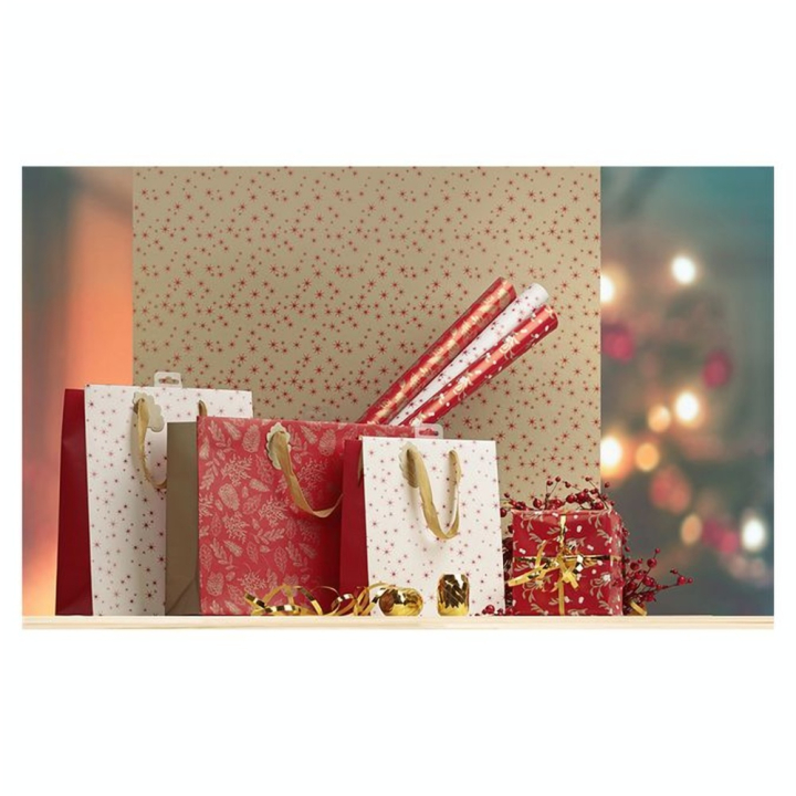 Papier cadeau  Pomme d'amour 0,7 x 2 m - Clairefontaine - Rougier et Plé