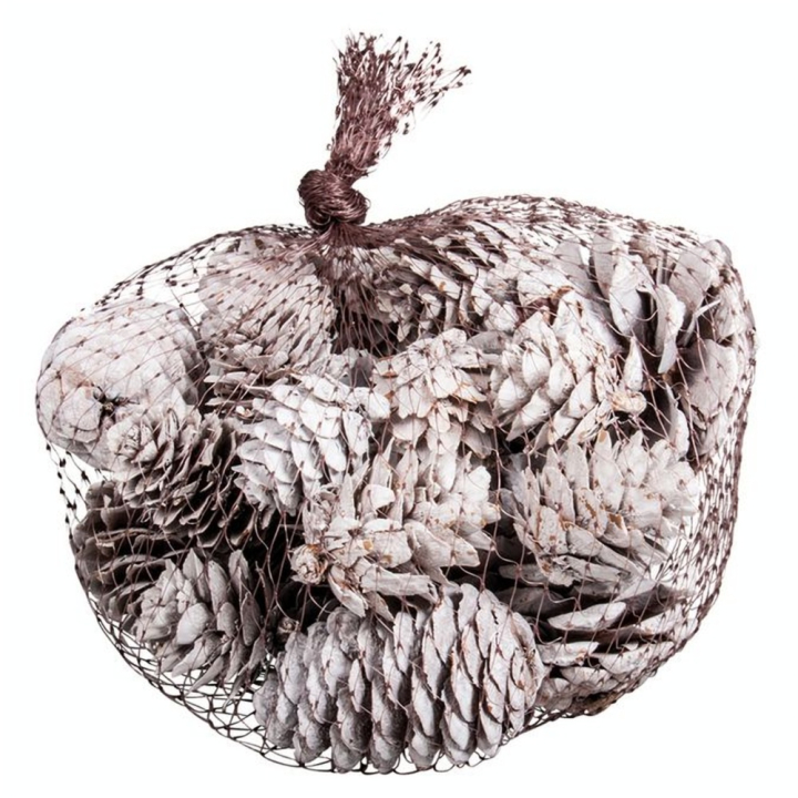 Cônes de Pin Sapin Mélèze 25 pcs - Rayher - Rougier et Plé