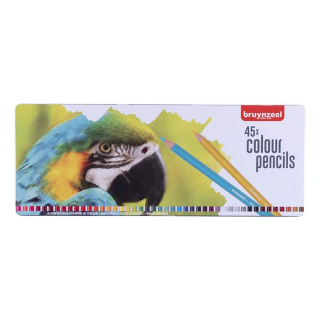 Crayon de couleur Boîte métal Perroquet 45 pièces - Bruynzeel - Rougier et Plé