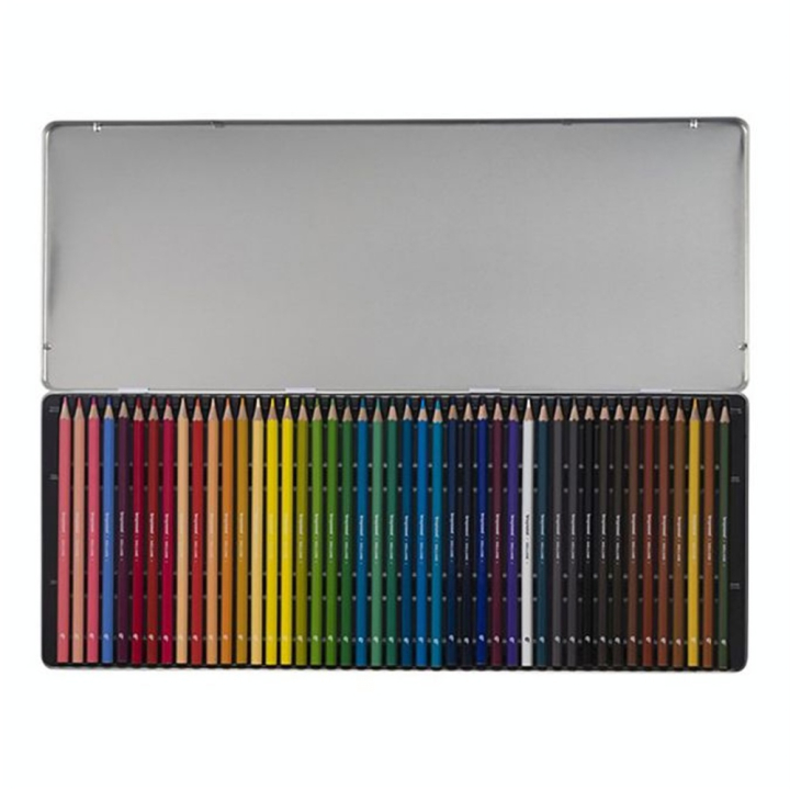 Crayon de couleur Boîte métal Perroquet 45 pièces - Bruynzeel - Rougier et Plé