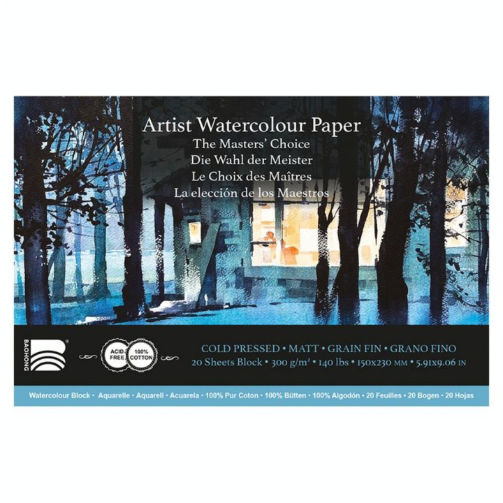 Papier aquarelle grain fin Le Choix des Maîtres Bloc 20 feuilles 300 g/m² - Baohong - Rougier et Plé