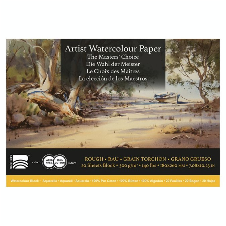 Papier aquarelle grain torchon Le Choix des Maîtres Bloc 20 feuilles 300 g/m² - Baohong - Rougier et Plé