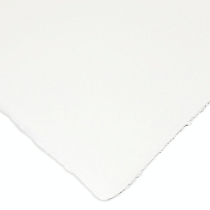 Papier aquarelle grain satiné Le Choix des Maîtres 300 g/m² - Baohong - Rougier et Plé