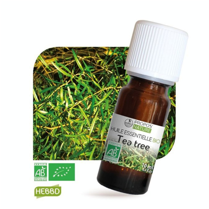 Huile essentielle Tea tree BIO Arbre à thé AB 10 ml - Joli'Essence - Rougier et Plé