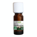 Huile essentielle Cannelle de Ceylan BIO AB 10 ml - Joli'Essence - Rougier et Plé
