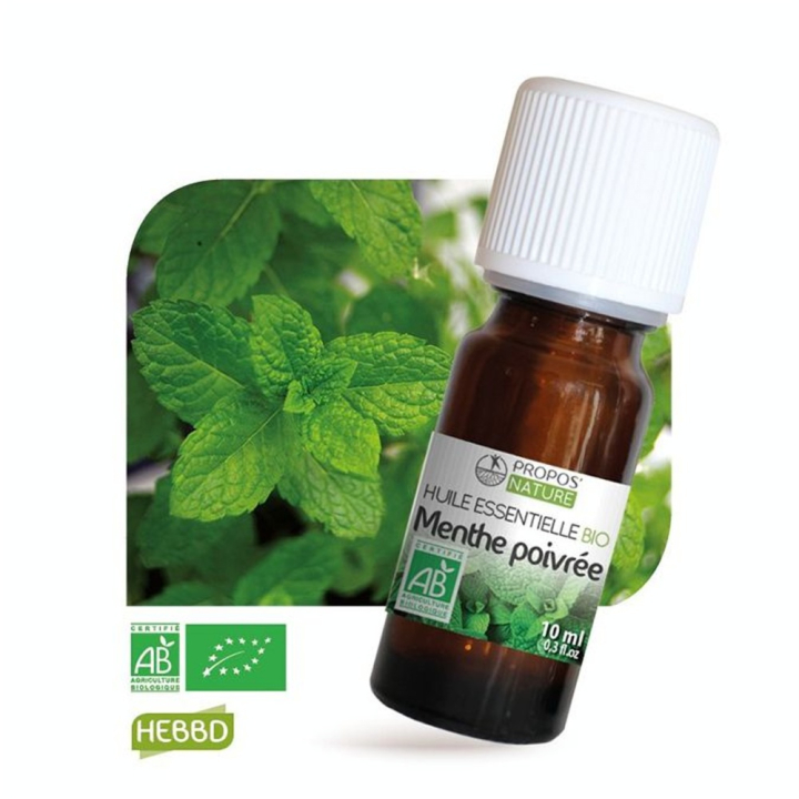 Huile essentielle Menthe poivrée BIO AB 10 ml - Joli'Essence - Rougier et Plé