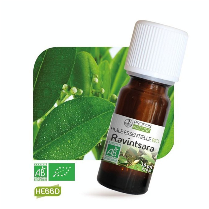 Huile essentielle Ravintsara BIO AB 10 ml - Joli'Essence - Rougier et Plé