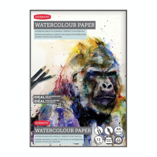 Bloc papier aquarelle lisse 12 feuilles 300 g/m² - Derwent - Rougier et Plé