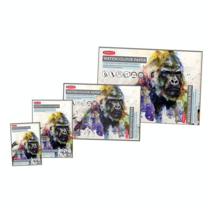 Bloc papier aquarelle lisse 12 feuilles 300 g/m² - Derwent - Rougier et Plé