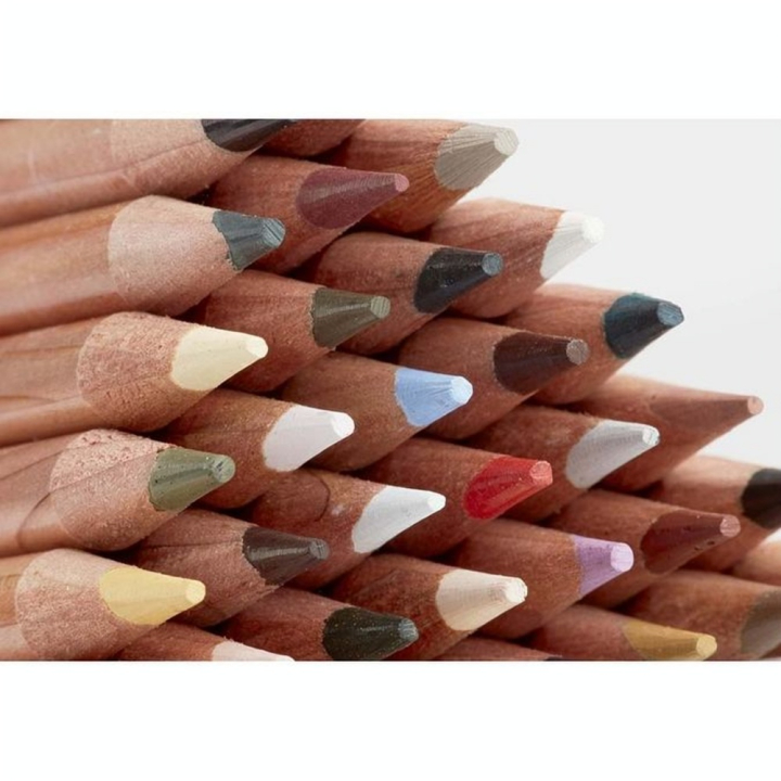 Crayon de couleur Lightfast Boîte métal 12 pcs - Derwent - Rougier et Plé