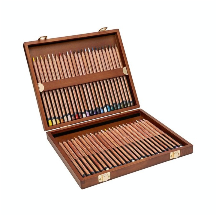 Crayon de couleur Lightfast Coffret bois 48 pcs - Derwent - Rougier et Plé