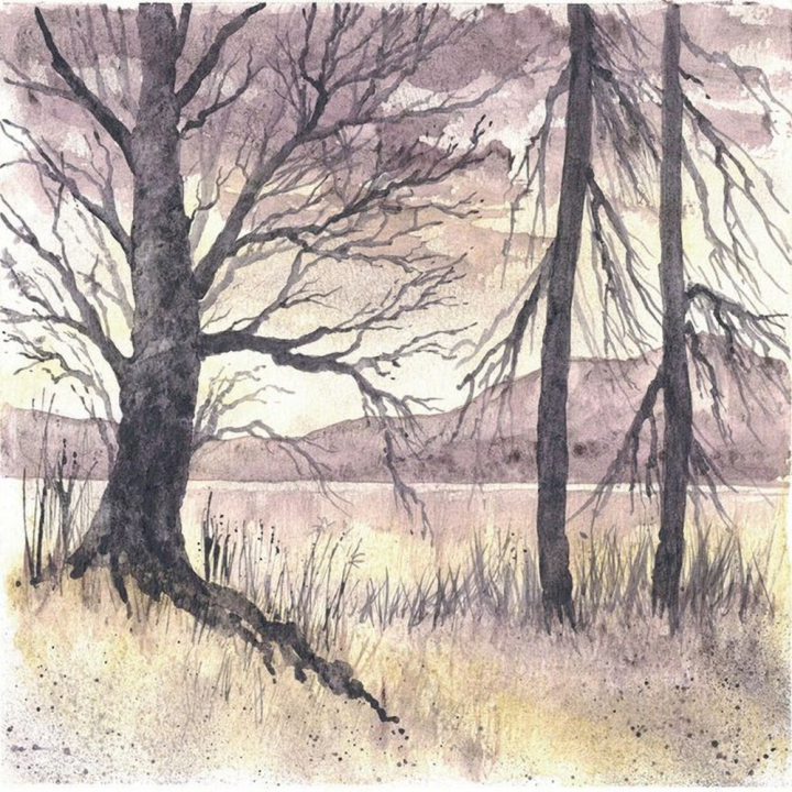 Crayon graphite aquarellable Graphitint - Derwent - Rougier et Plé