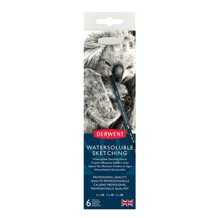 Crayon graphite aquarellabe Sketching Boîte métal 6 pcs - Derwent - Rougier et Plé