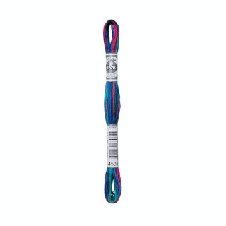 Fil à broder Coloris Multicolore 6 brins 8 m - DMC - Rougier et Plé