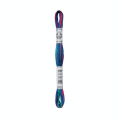 Fil à broder Coloris Multicolore 6 brins 8 m - DMC - Rougier et Plé