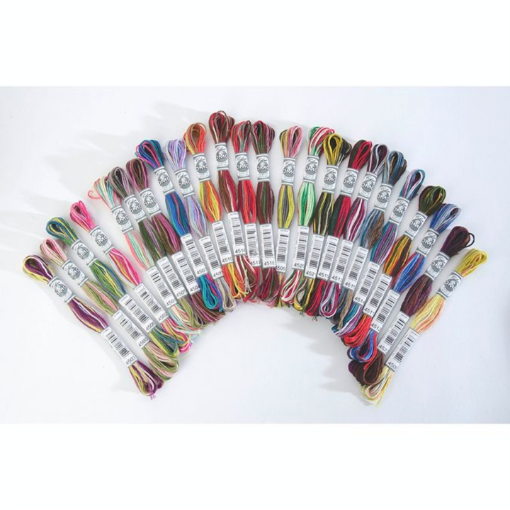 Fil à broder Coloris Multicolore 6 brins 8 m - DMC - Rougier et Plé