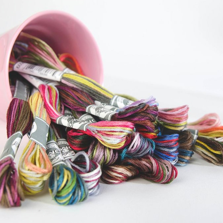 Fil à broder Coloris Multicolore 6 brins 8 m - DMC - Rougier et Plé