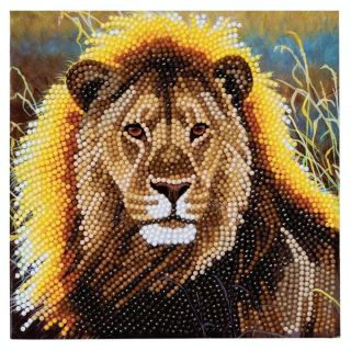 Broderie diamant Carte 18 x 18 cm Lion - Crystal Art - Rougier et Plé