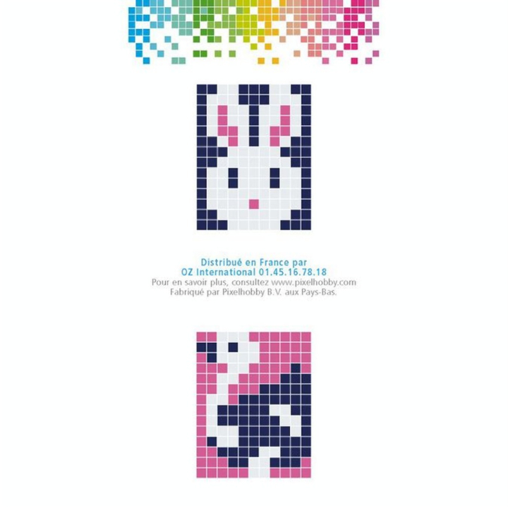 Kit créatif Pixel porte-clé 4 x 3 cm - Lapin - Pixel Hobby - Rougier et Plé