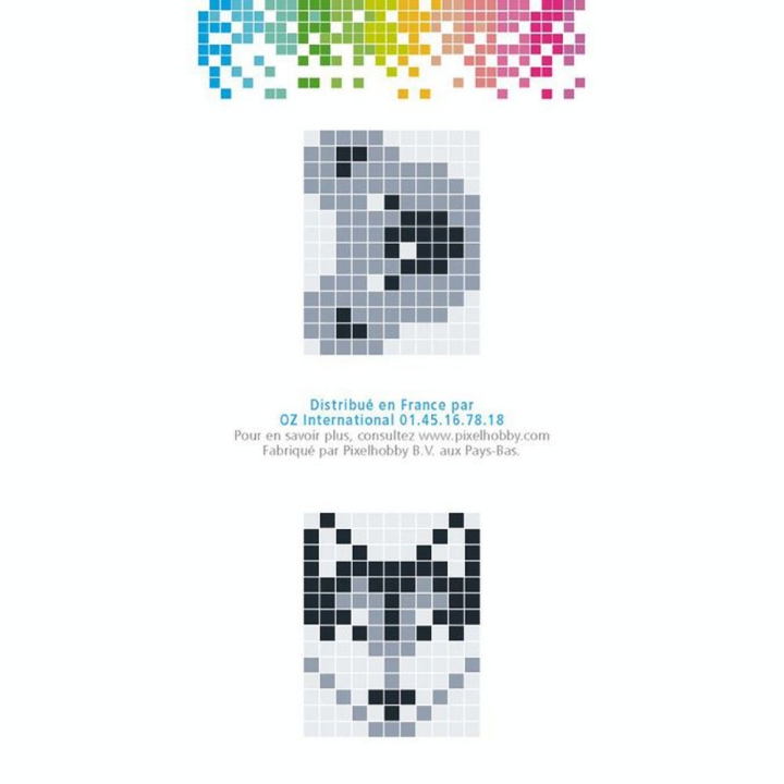 Kit créatif Pixel porte-clé 4 x 3 cm - Koala - Pixel Hobby - Rougier et Plé