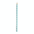 Crayon à marquer Menthe Marquage blanc - Prym - Rougier et Plé