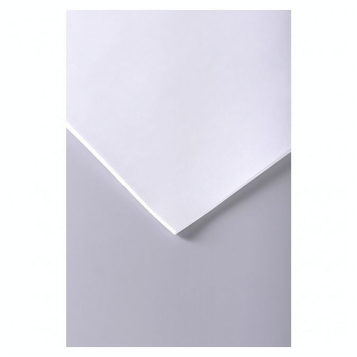 Papier à dessin 70g/m² 25 feuilles 50 x 65 cm - Clairefontaine - Rougier et Plé