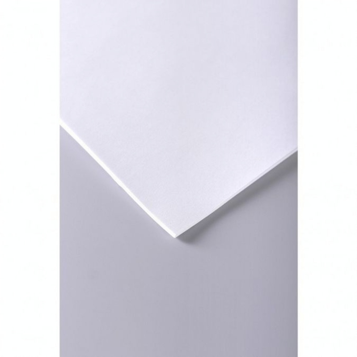 Papier dessin 90 g/m² Ramette 50 feuilles A3 29.7 x 42 cm - Clairefontaine - Rougier et Plé