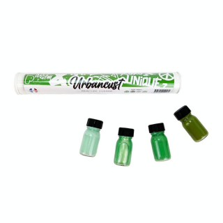 Peinture Custom Cuir Kit 4 Flacons 10 ml Tons Verts - Urbancust - Rougier et Plé