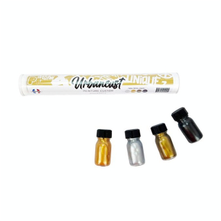 Peinture Custom Cuir Kit 4 Flacons 10 ml Tons Métalliques - Urbancust - Rougier et Plé