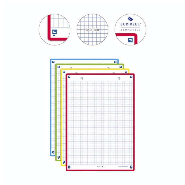Fiche Bristol Révision 2.0 A5 14.8 x 21 cm 32 pcs Perforée 4 Couleurs assorties - Oxford - Rougier et Plé