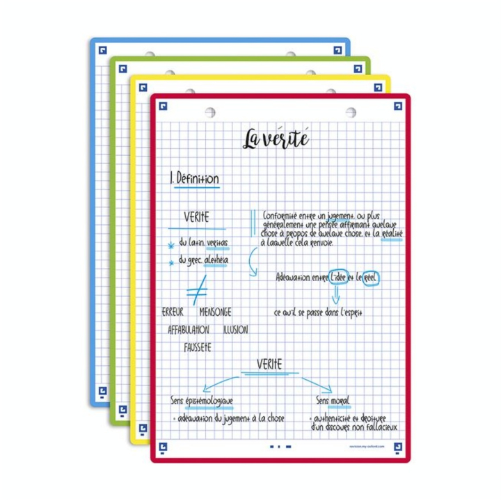 Fiche Bristol Révision 2.0 A5 14.8 x 21 cm 32 pcs Perforée 4 Couleurs assorties - Oxford - Rougier et Plé