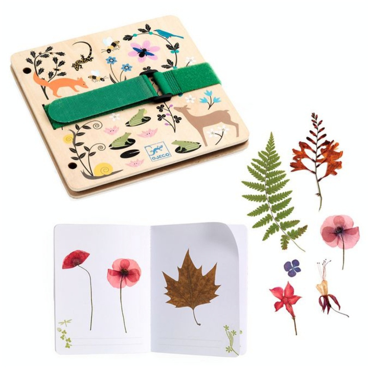 DIY À créer Presse et Herbier Petit botaniste - Djeco - Rougier et Plé