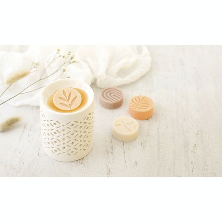 Kit DIY L'Atelier Fondants à Bougies - Graine Créative - Rougier et Plé