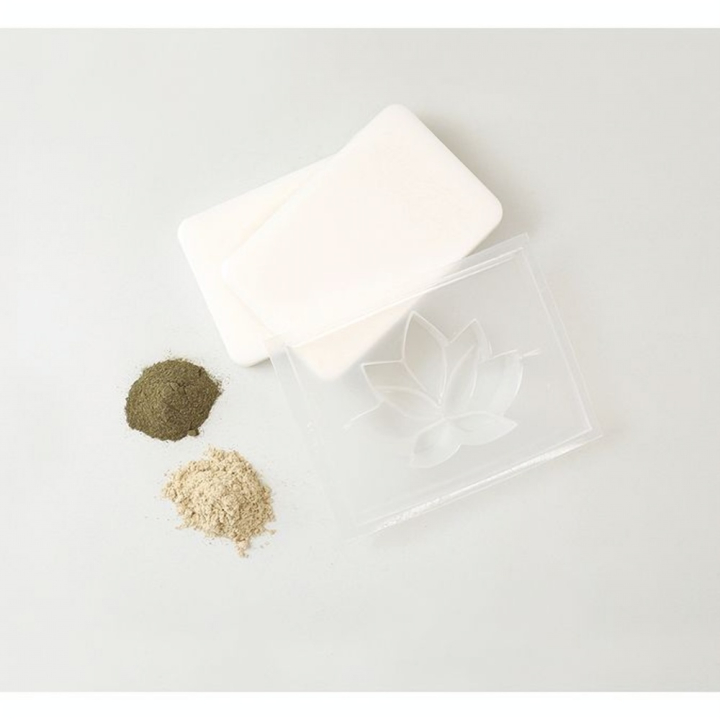 Kit DIY Shampoings solides - Graine Créative - Rougier et Plé