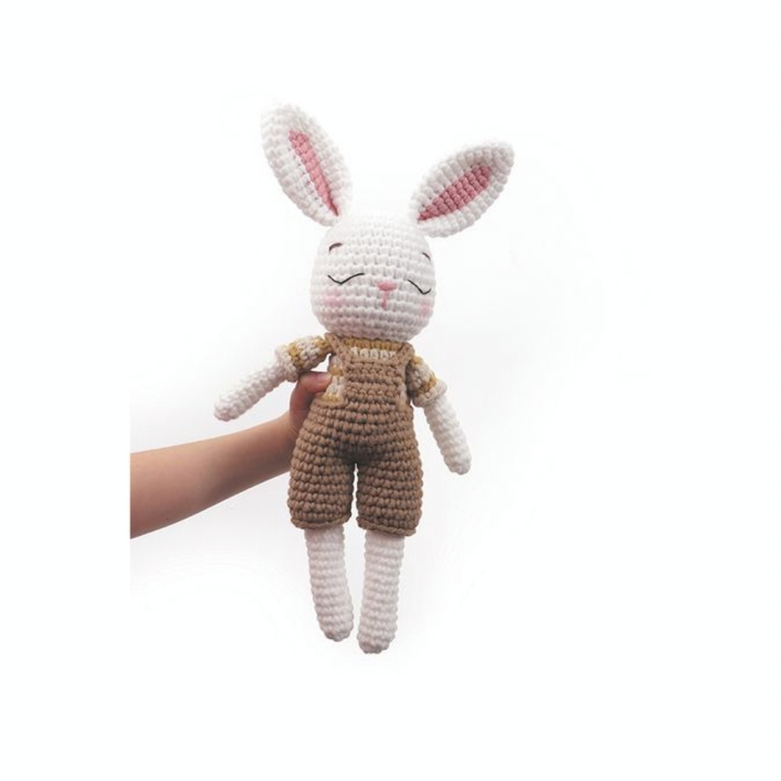 Kit crochet Mon Ami Gurumi Lapin - Graine Créative - Rougier et Plé