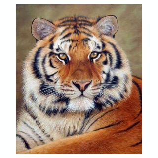 Broderie Diamant 40 x 50 cm Regard de Tigre - Figured'Art - Rougier et Plé