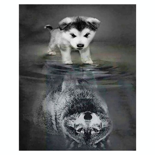 Broderie Diamant 40 x 50 cm Chien et Reflet de Loup - Figured'Art - Rougier et Plé