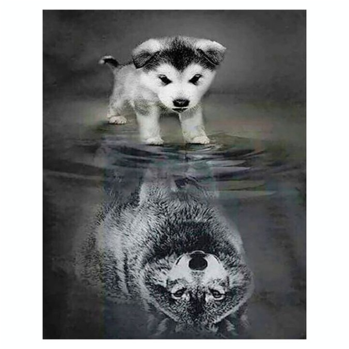 Broderie Diamant 40 x 50 cm Chien et Reflet de Loup - Figured'Art - Rougier et Plé