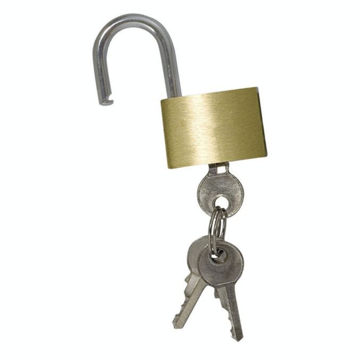 Cadenas à Clé 40 x 30 mm Laiton - Sign - Rougier et Plé