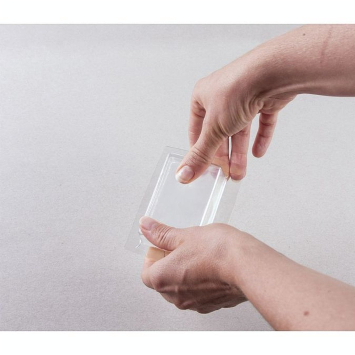 Pain de Savon Transparent 600 g - Rayher - Rougier et Plé