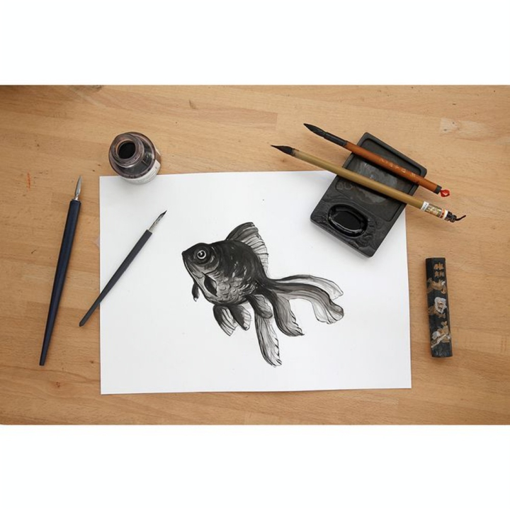 Papier Dessin et Lavis Technique 160 g/m² Pochette - Clairefontaine - Rougier et Plé