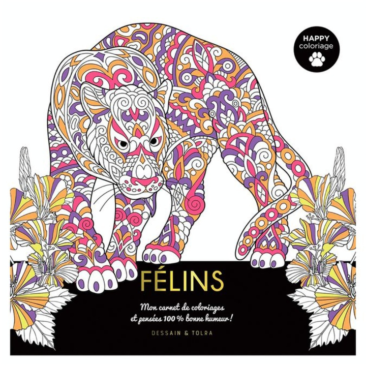 Carnet Happy coloriage Félins - Dessain et Tolra - Rougier et Plé